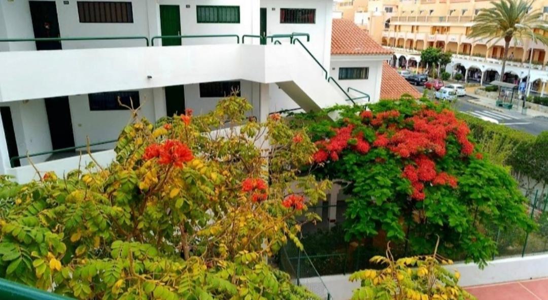 Luxury Sonnenland Apartment มาสปาโลมาส ภายนอก รูปภาพ